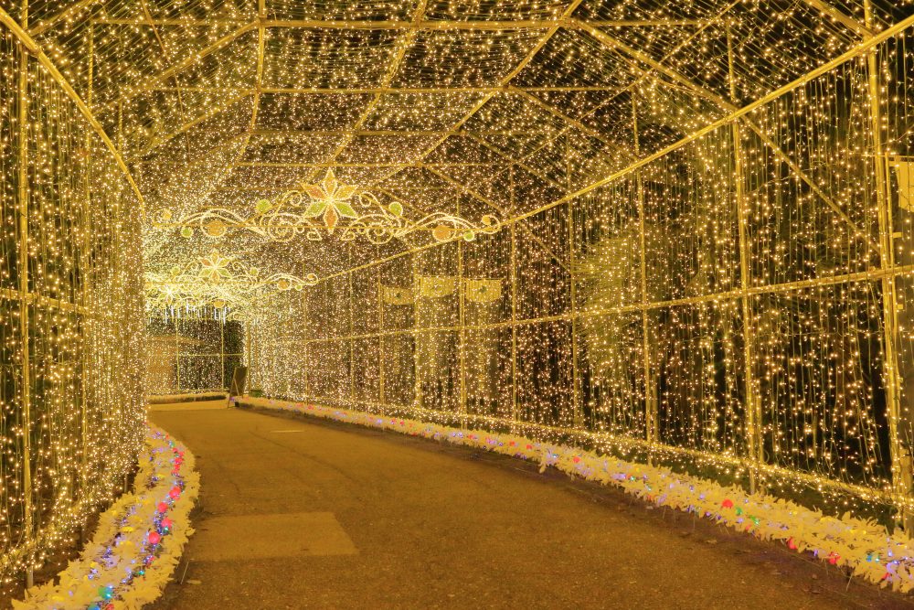 水果隧道