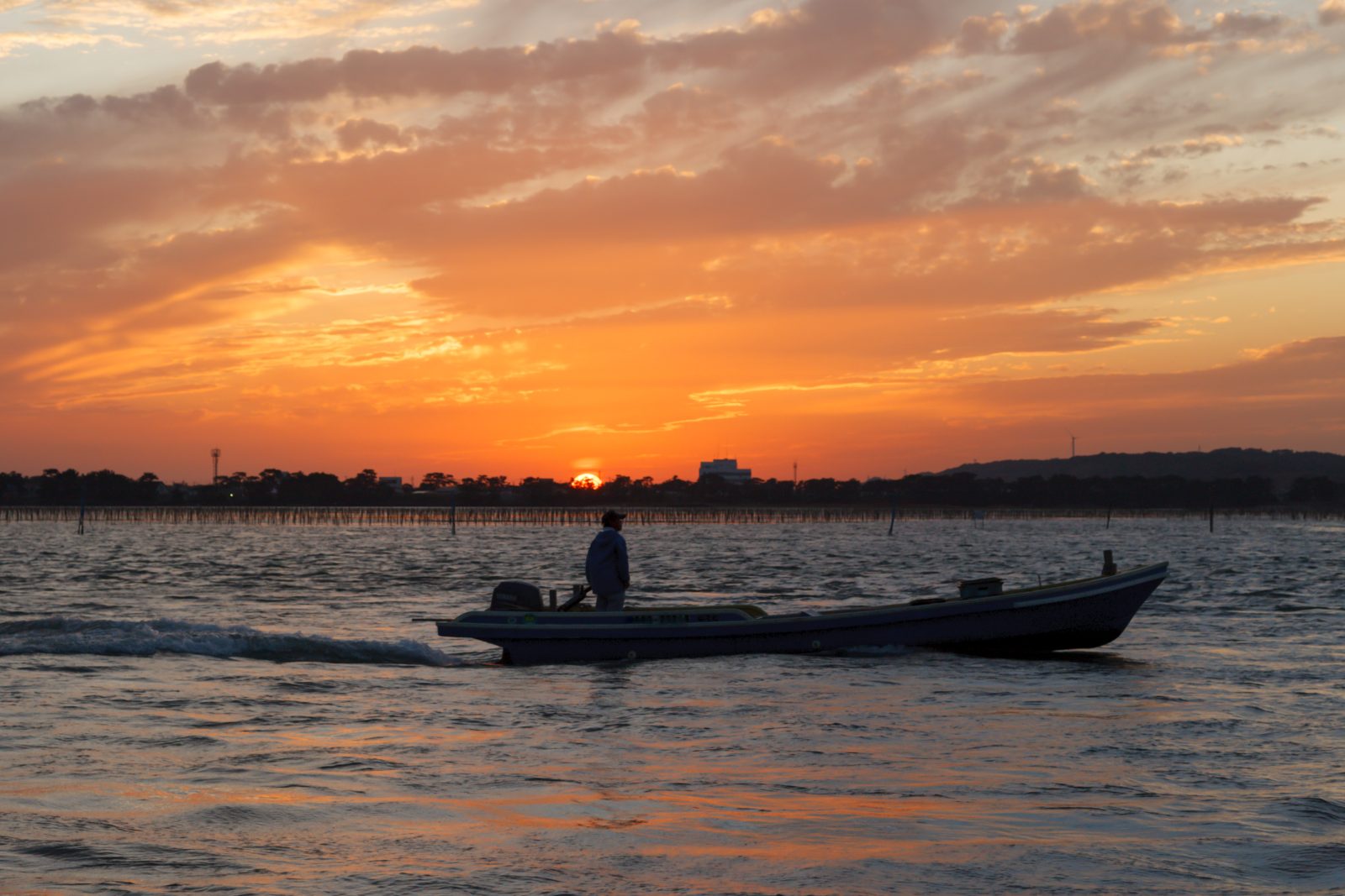 平日限定!和60岁以上的人一起更上一层楼的“成人旅行”