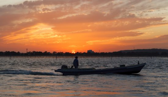平日限定!和60岁以上的人一起更上一层楼的“成人旅行”