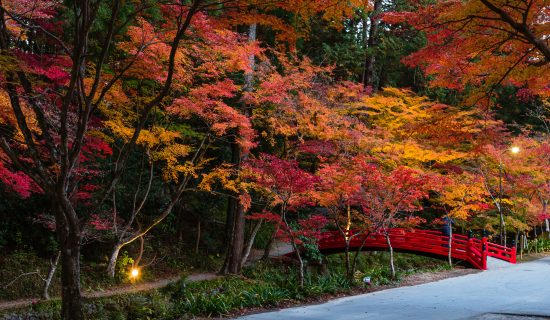 Photo gallery image | Grand Mercure Okinawa Cape Zanpa Resort