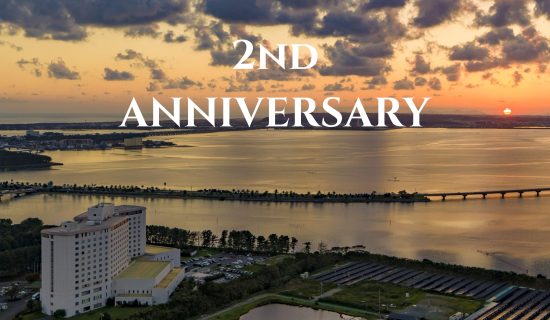 [Limited time] 2nd Anniversary Plan