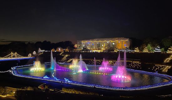 【하마타츠 플라워 파크】플라워 일루미네이션