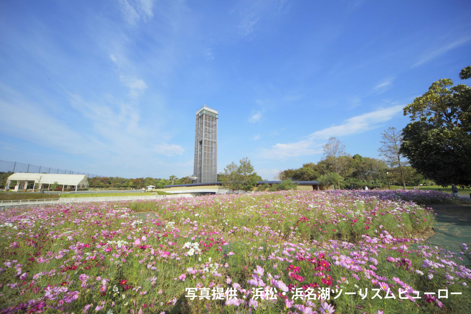 濱名湖花園公園|濱名湖美爵溫泉度假酒店【官方】