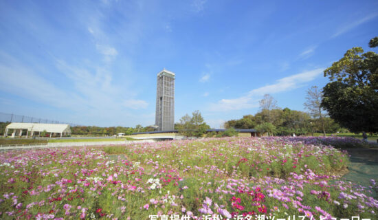 濱名湖花園公園