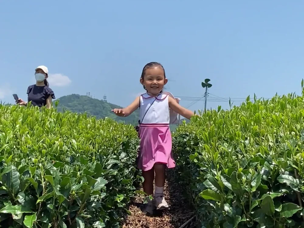 古民家包租住宿之旅