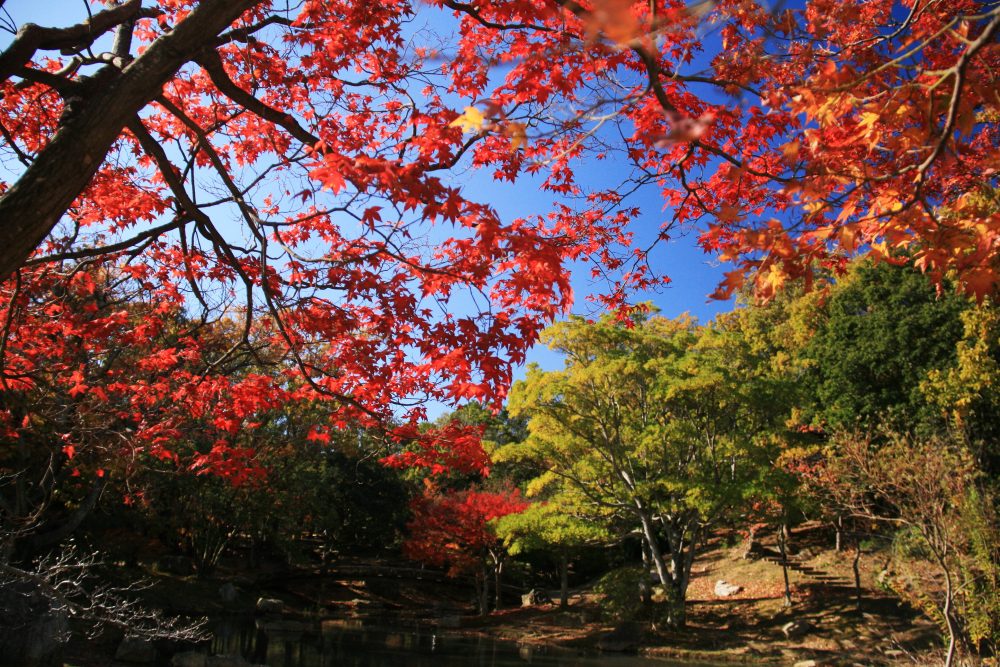浜松城公園